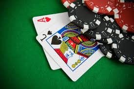 Number Pair prediction interface on togel 79 showing two-digit entry field and draw schedule